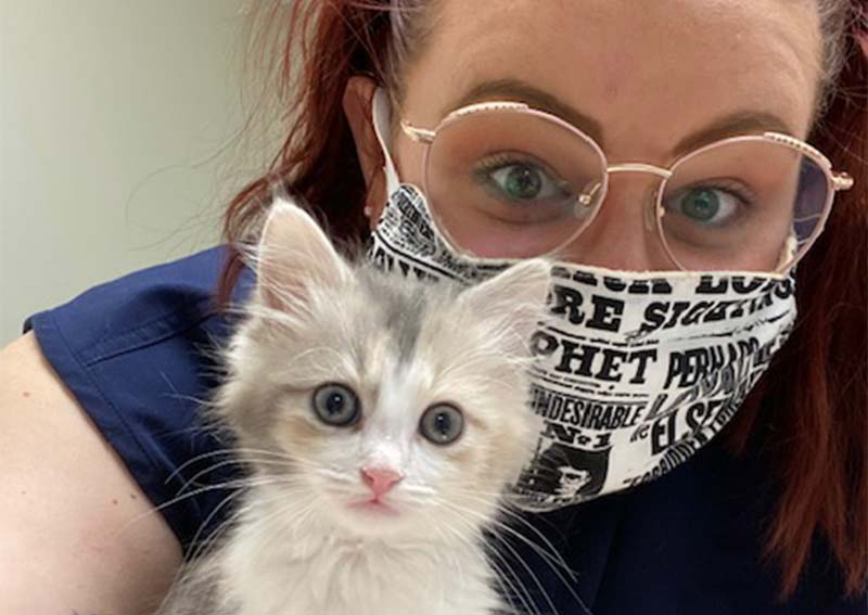 Kitten Veterinary Care, Cinnaminson